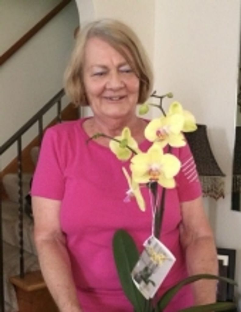 Pamela M. Brown Profile Photo