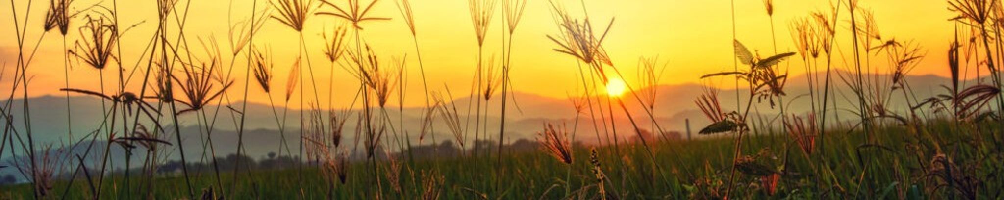 Cover for Judith "Judy" Ann Martinez's Obituary