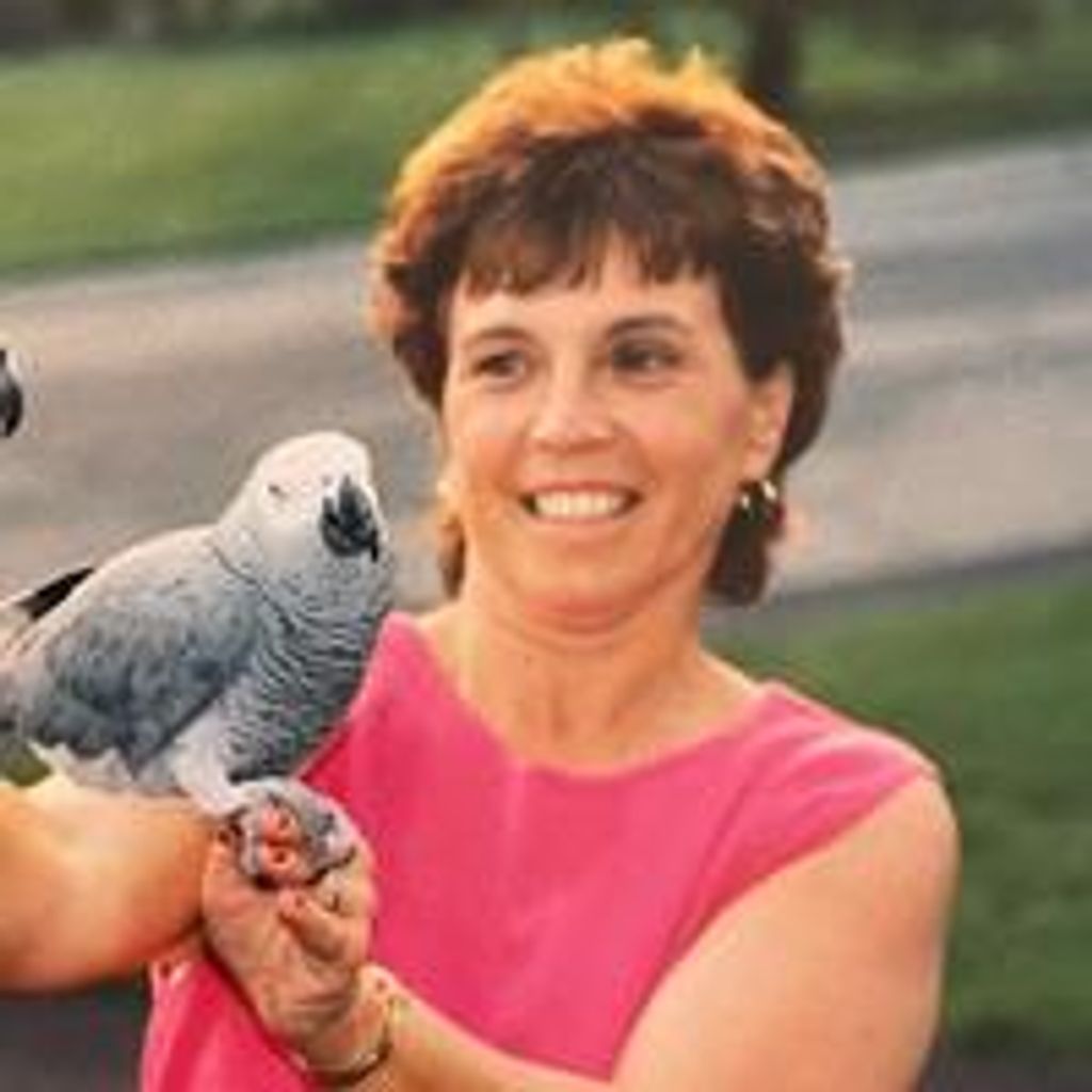 Sandra Bimmler Profile Photo