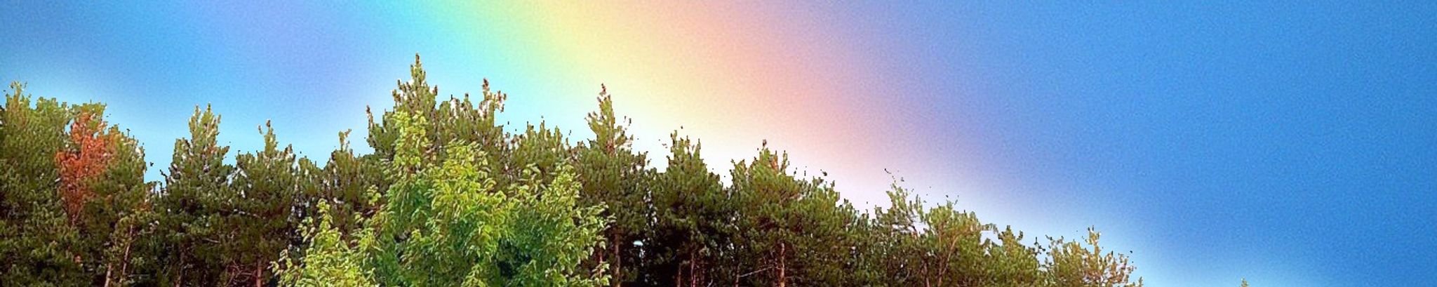 Cover photo for Lorraine S. 'Rainbow' (Crane) Arena's Obituary