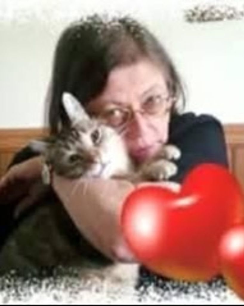 Linda D. Heins Profile Photo