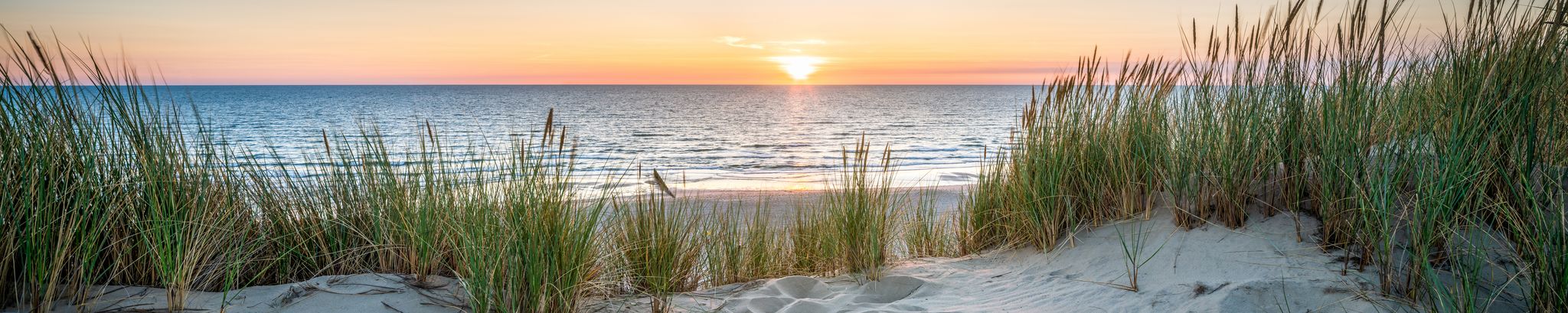 Cover for Guy Michael DeSimone's Obituary