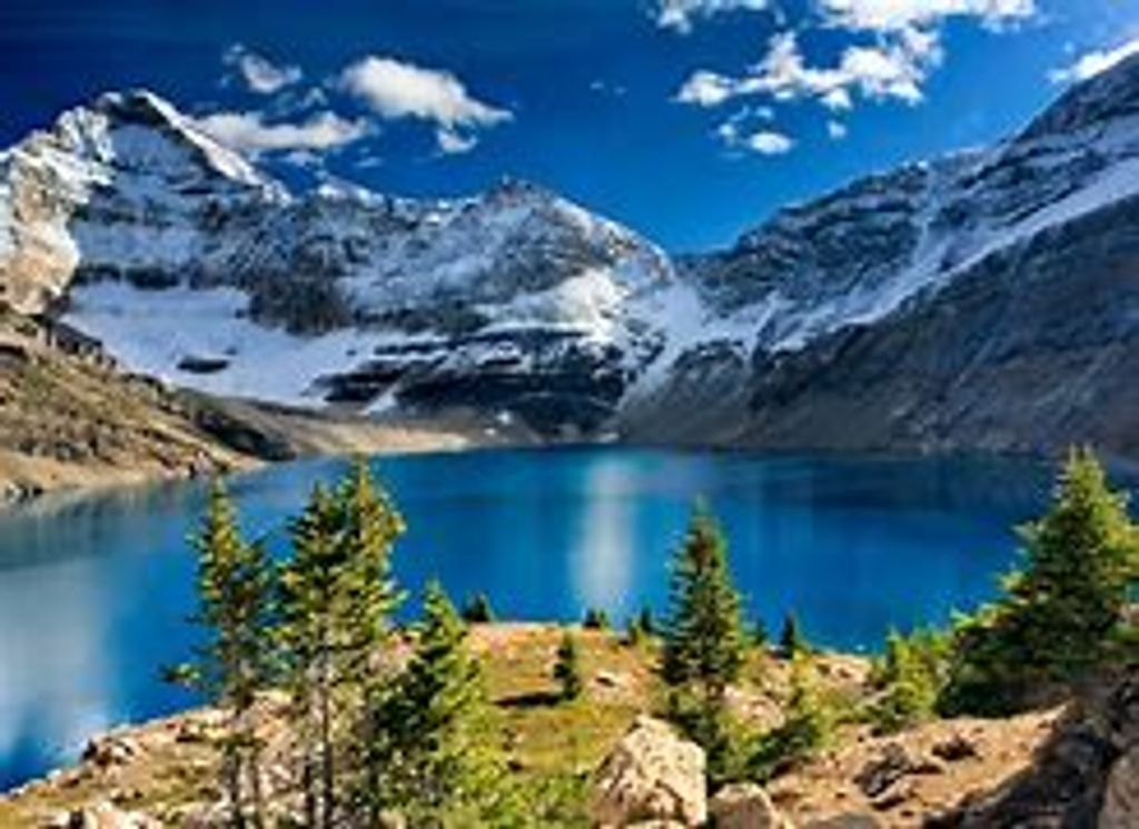 Anthony Robert Martinez