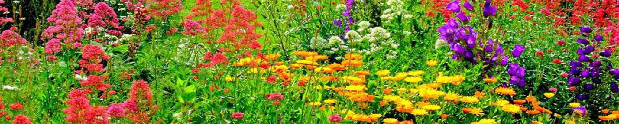 Cover for Ruth Ida Massingham's Obituary