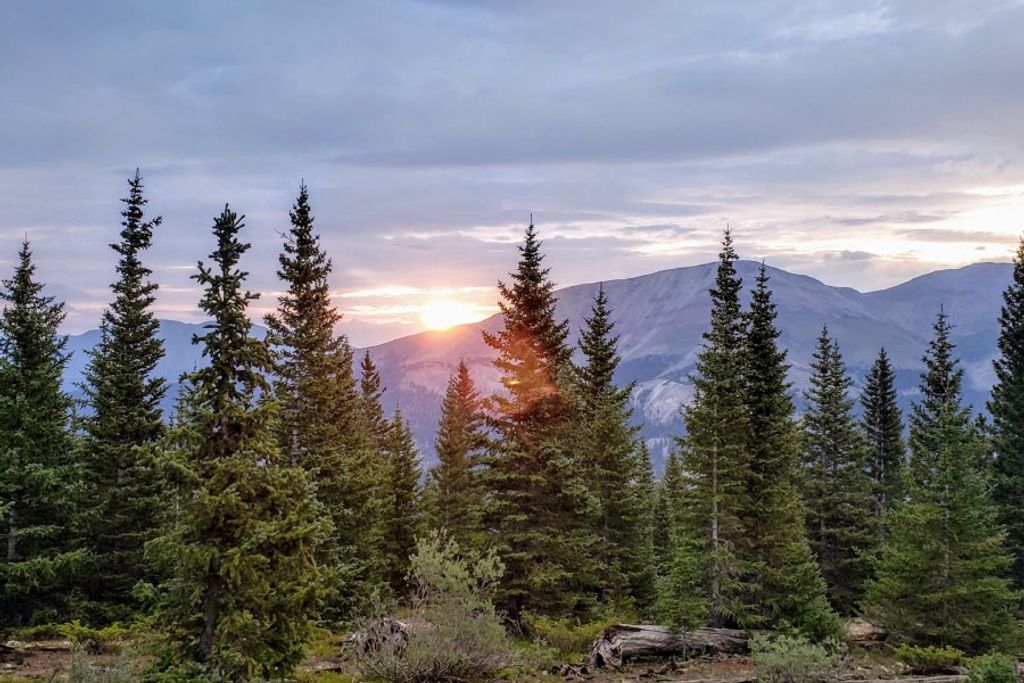 Susan "Sue" Margaret Palmer