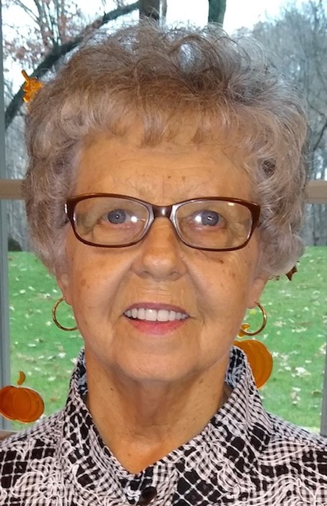 Karen Sue (Kenyon)  Mckibbin