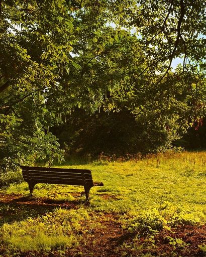 Billy E. Welch Profile Photo