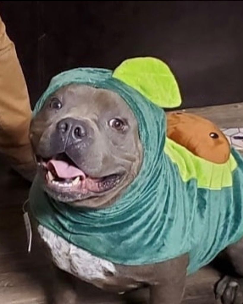 Bacon 🖤 Profile Photo