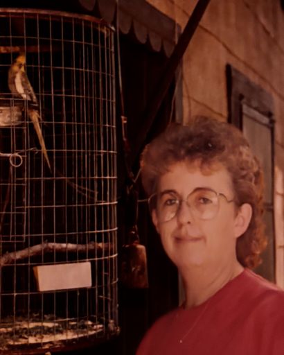 Juda Ming Profile Photo