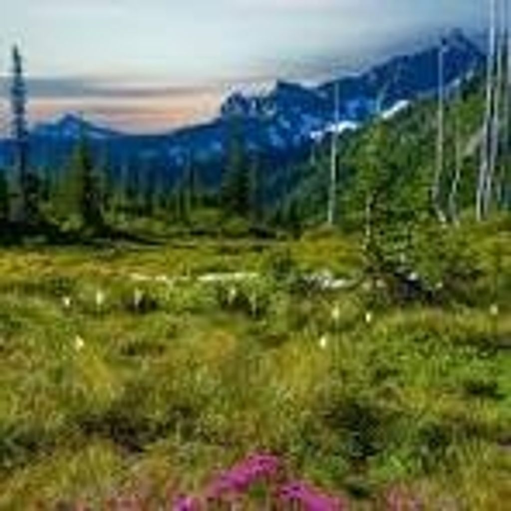 Marjorie L. Jock Profile Photo