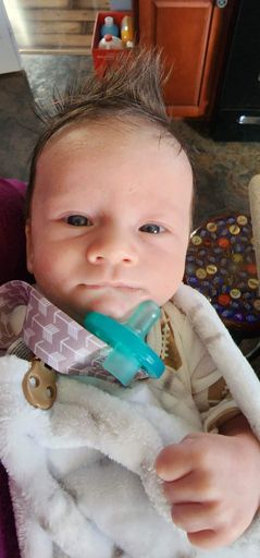 Patricia Joy Calvert photo gallery thumbnail 35 of 202