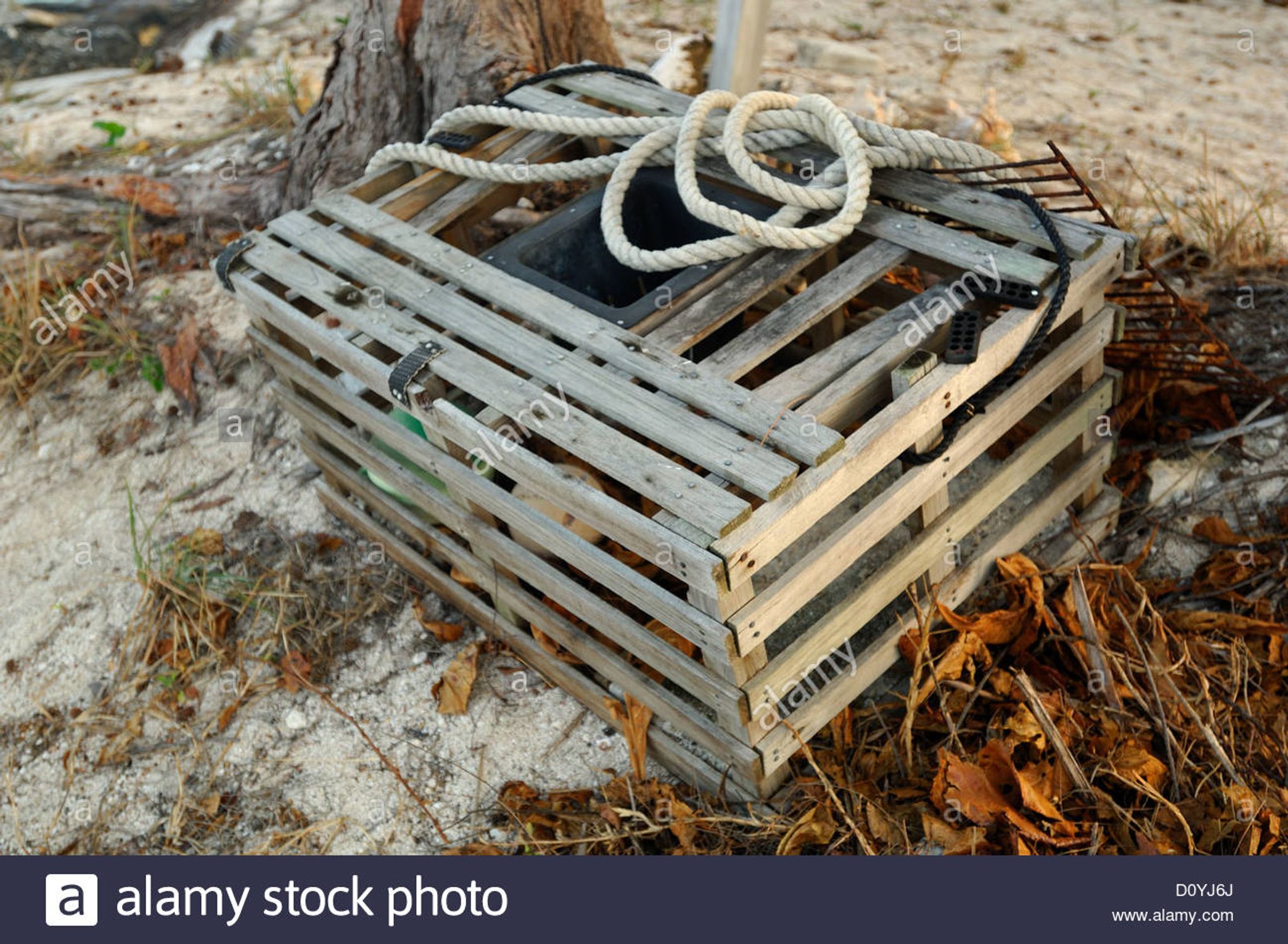 Cover for Eric Wentworth Wood's Obituary