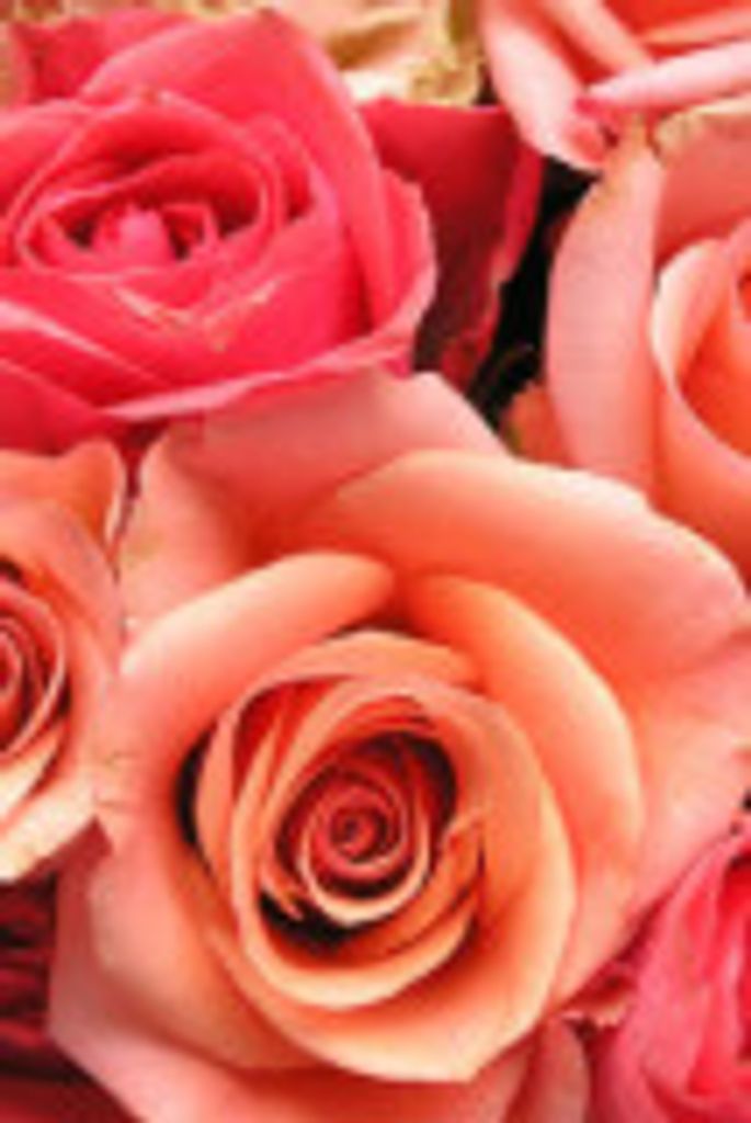 Ina Bunch Profile Photo