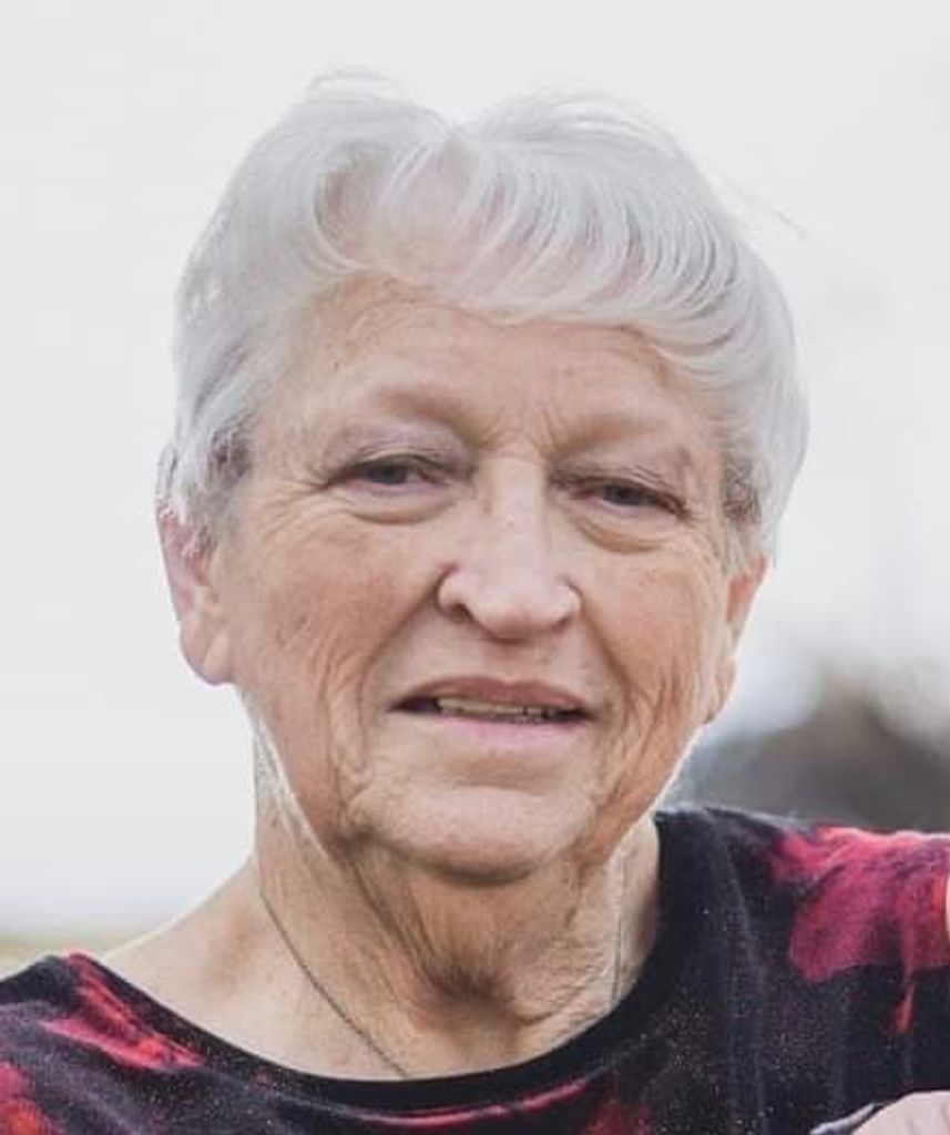 Susan Irene (Hopkins)  Phelps Profile Photo