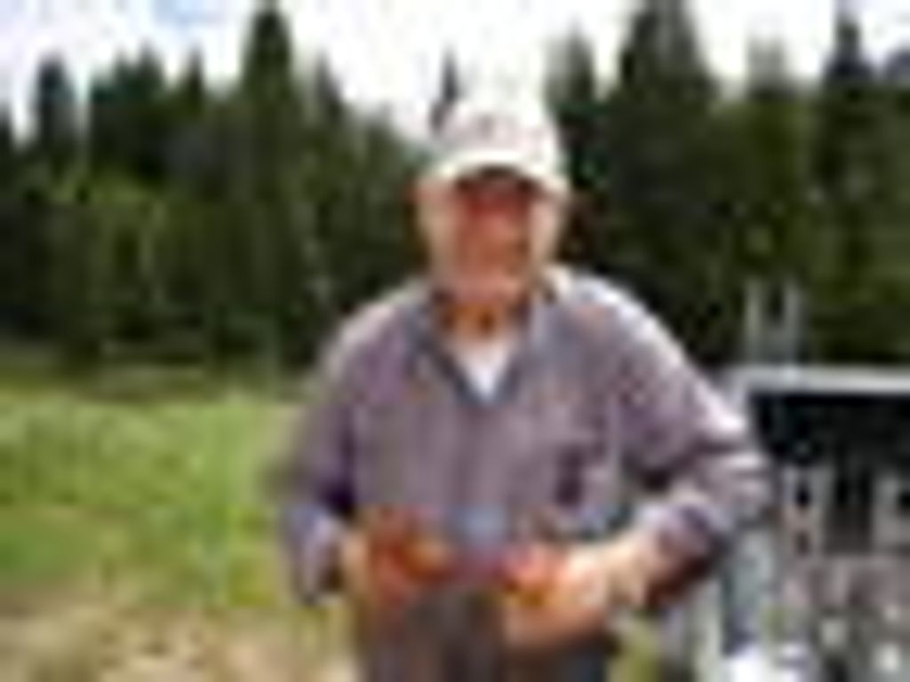 John Necchi