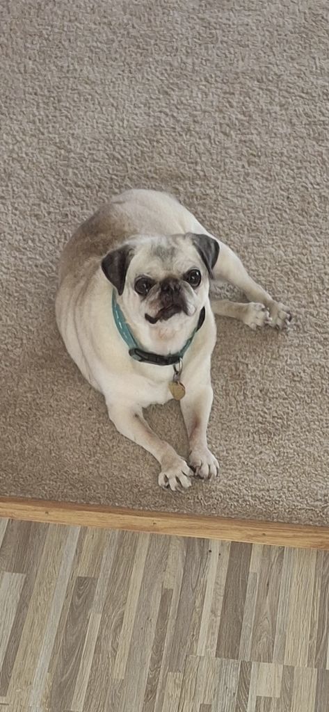 Missy Profile Photo