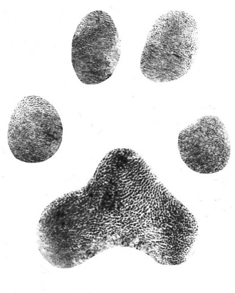 Lilly Stamey Profile Photo