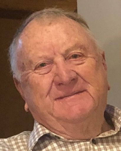 Alvin J Kroupa's obituary image