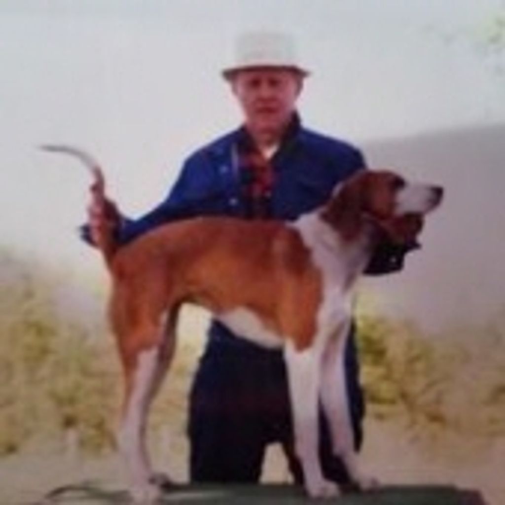 David A. Peck