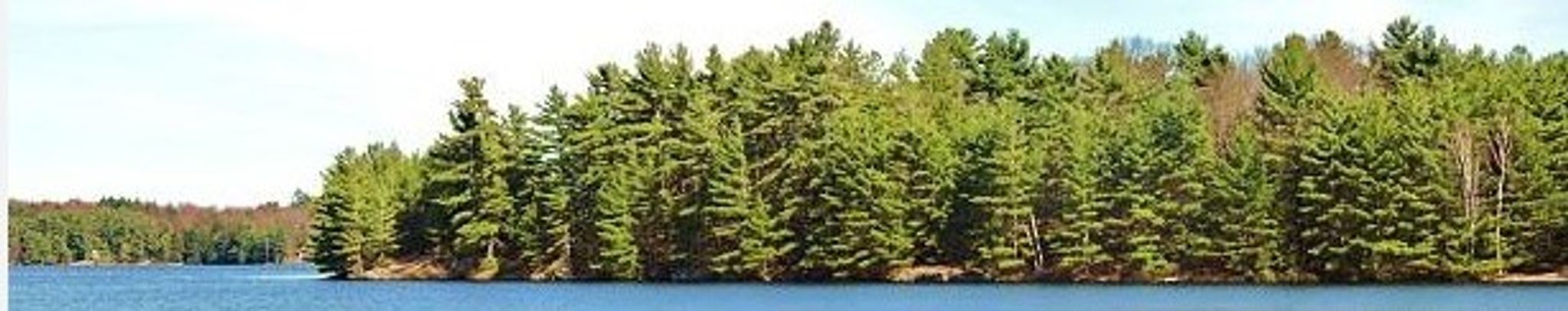 Cover for Earl Taylor's Obituary