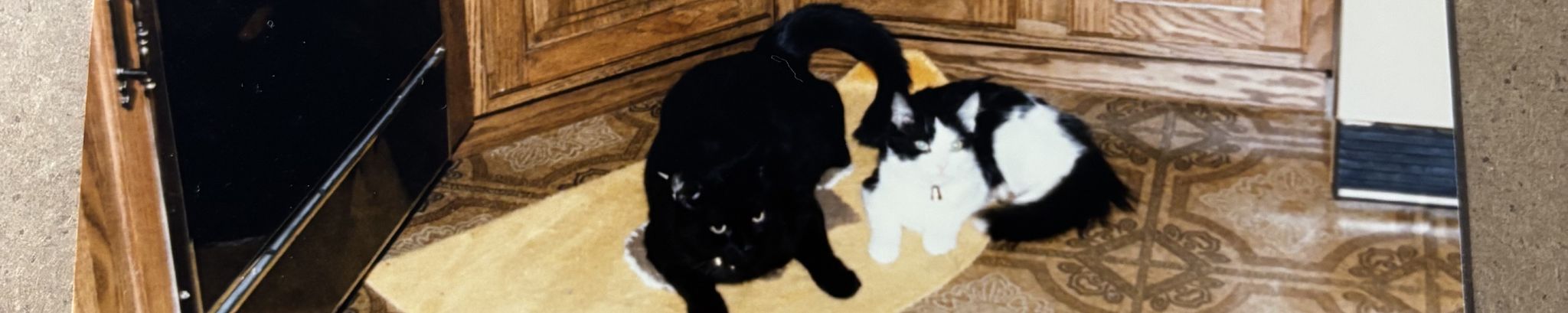 Cover for Ellen "Auntie" Faulk-Brown's Obituary