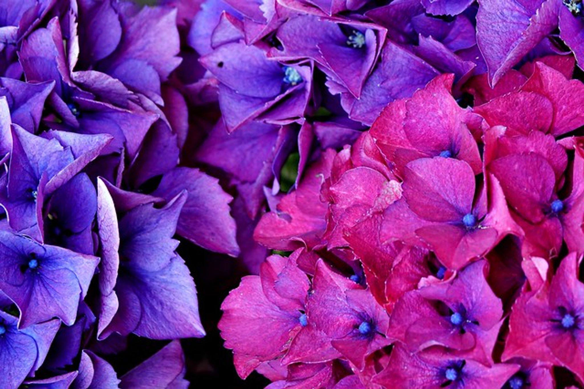 Cover photo for Maria Melinda Mares's Obituary