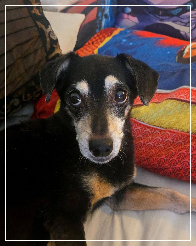 Spencer Lacher Profile Photo