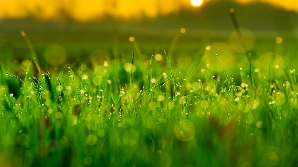 Tristan Daniel Singley Profile Photo