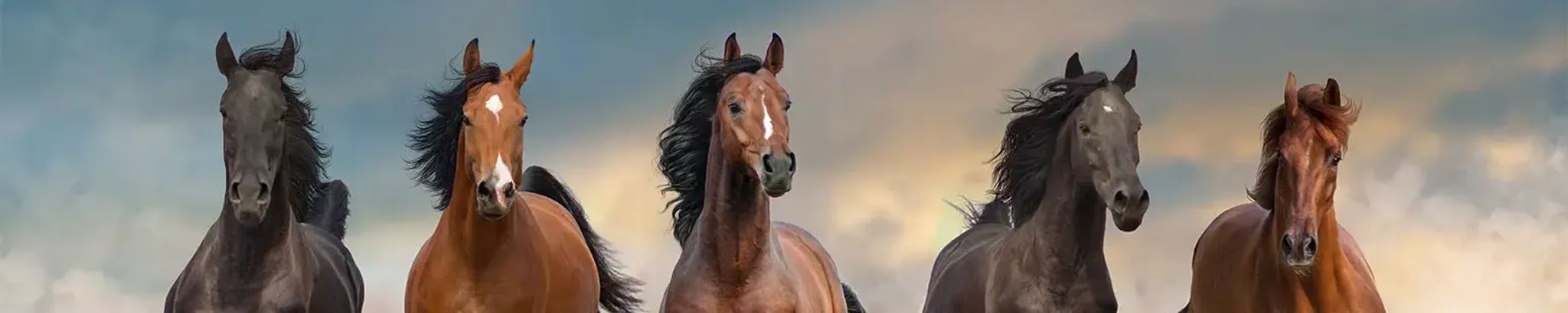 Cover for Elizabeth “Beth” Mary (Ornelles) Brown's Obituary