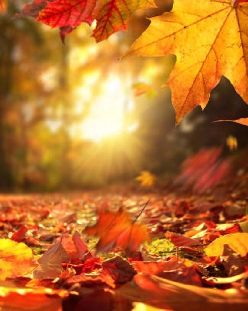 Joseph Francis Johnson, II Profile Photo