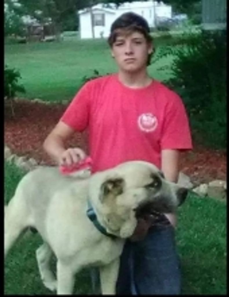 Mr. Jacob Travis  Sherrin Profile Photo