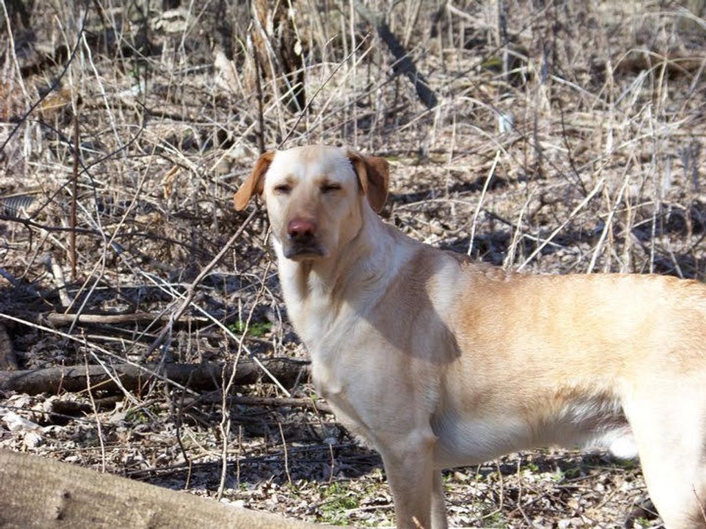 Buster Brown Profile Photo