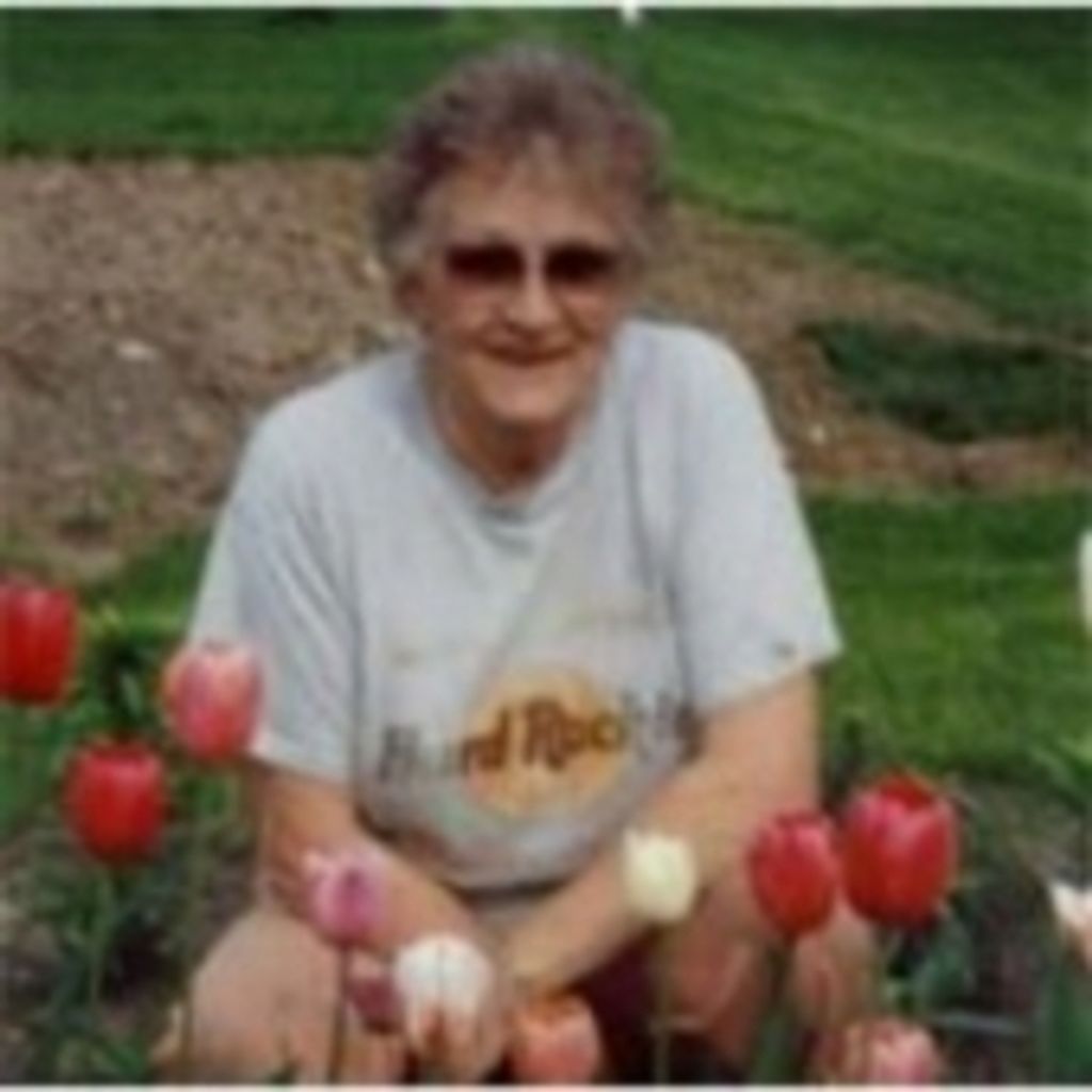 Barbara Mosier Profile Photo