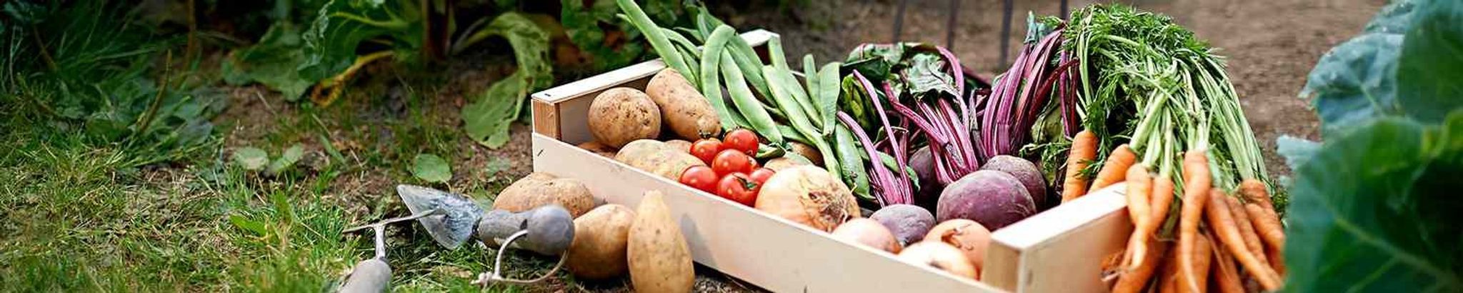 Cover for Gary B. Curtis's Obituary