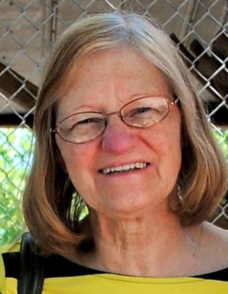 Shirley Ann (Palm)  Rodrock