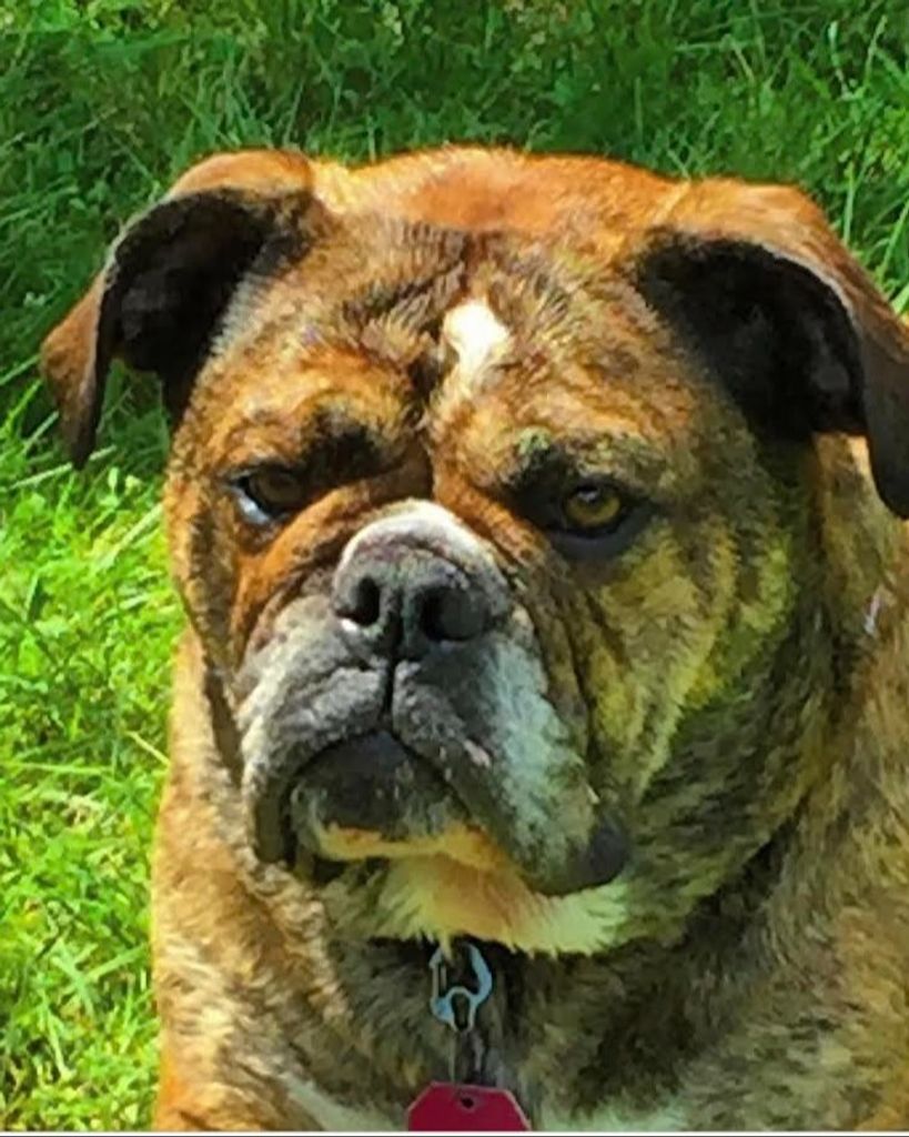 Phoebe Carr Profile Photo