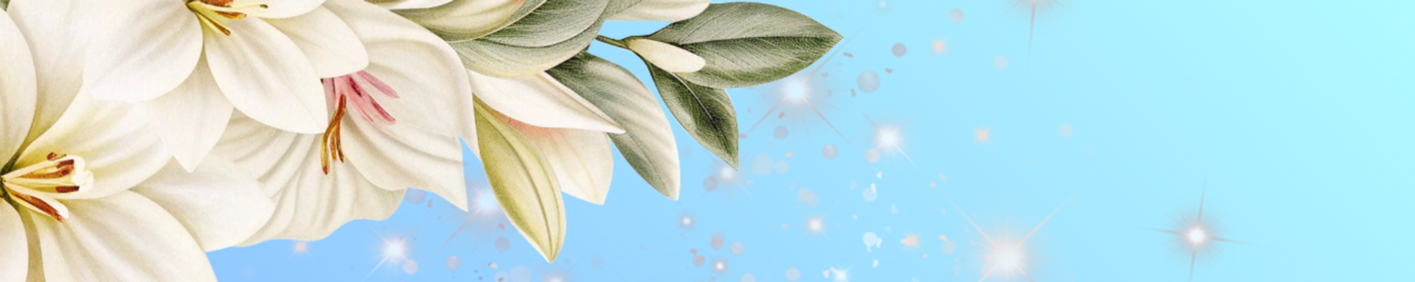 Cover for Socorro Almeida's Obituary