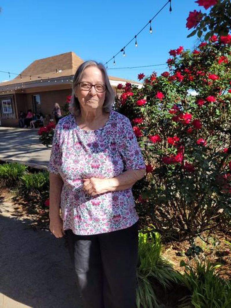 Nancy Carol Sullivan Profile Photo