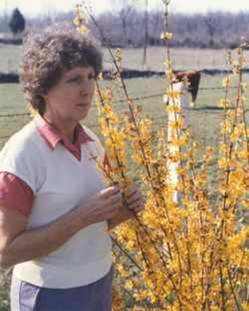 Mary Annie Cooper Haynes