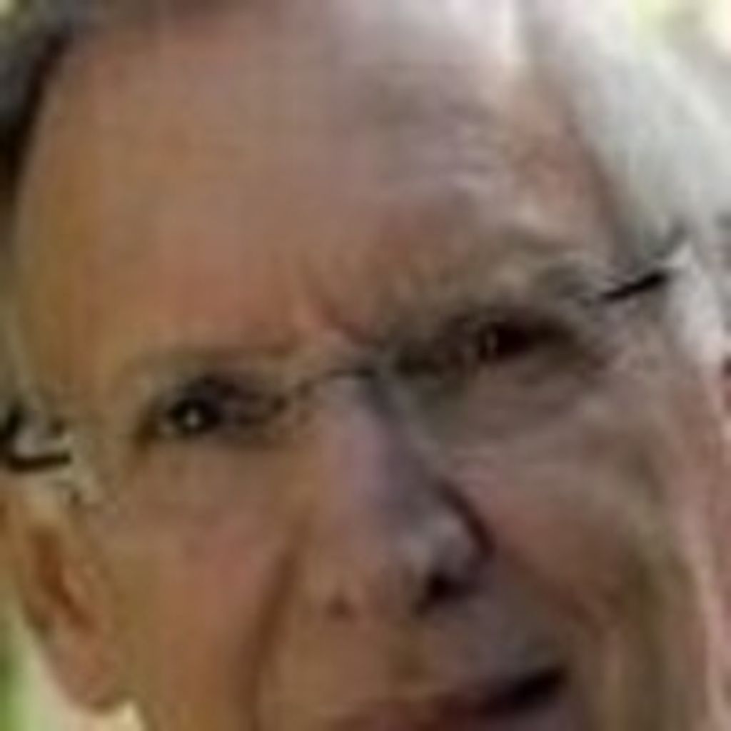Roy W Stevens