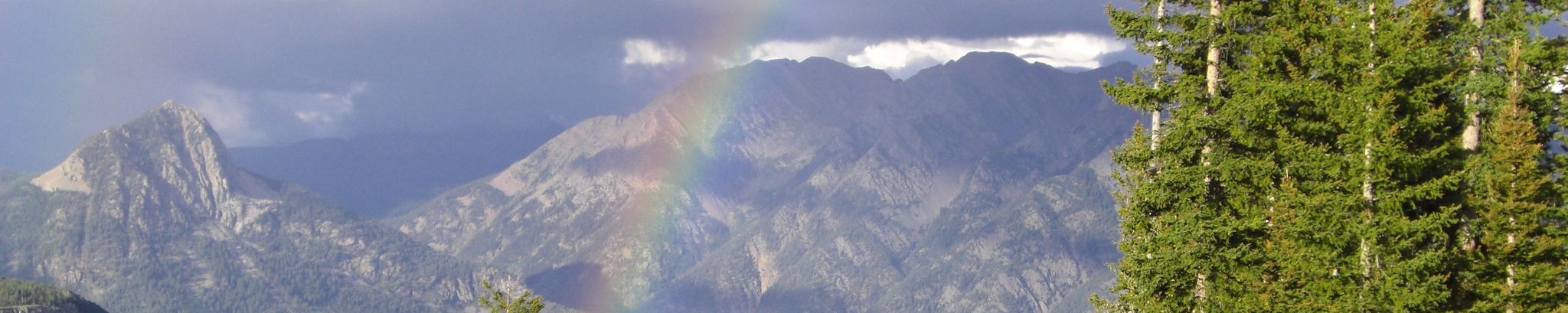 Cover photo for Diane Louise Skinner's Obituary