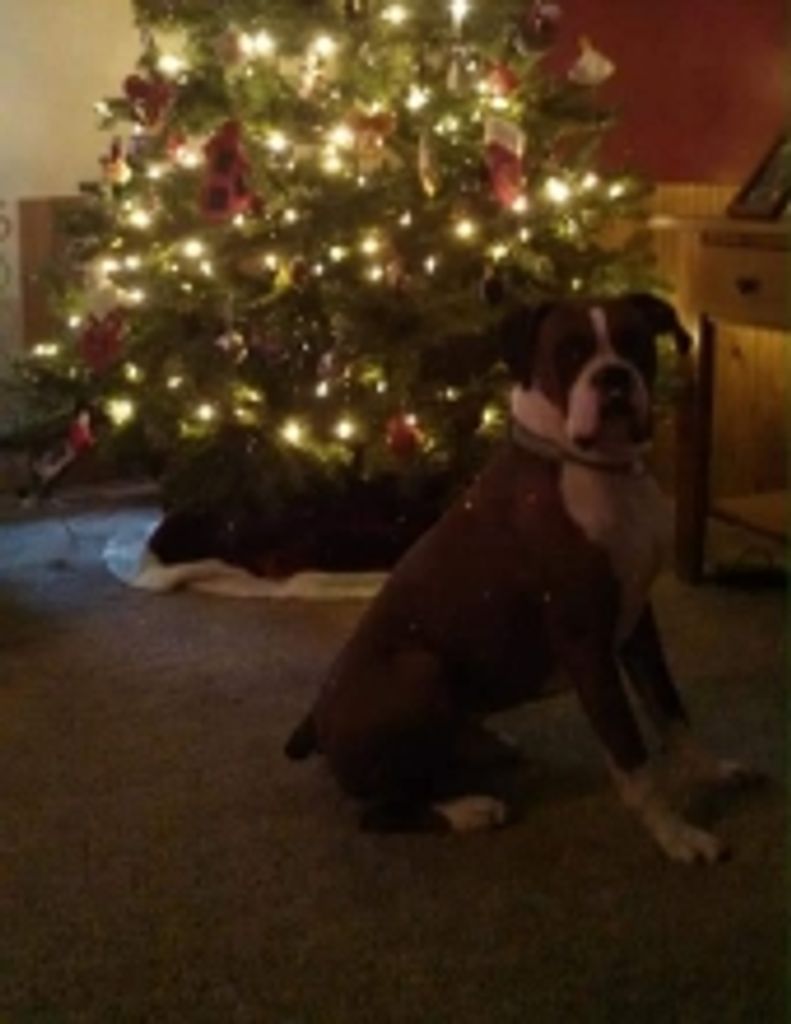 Max Cripe Profile Photo
