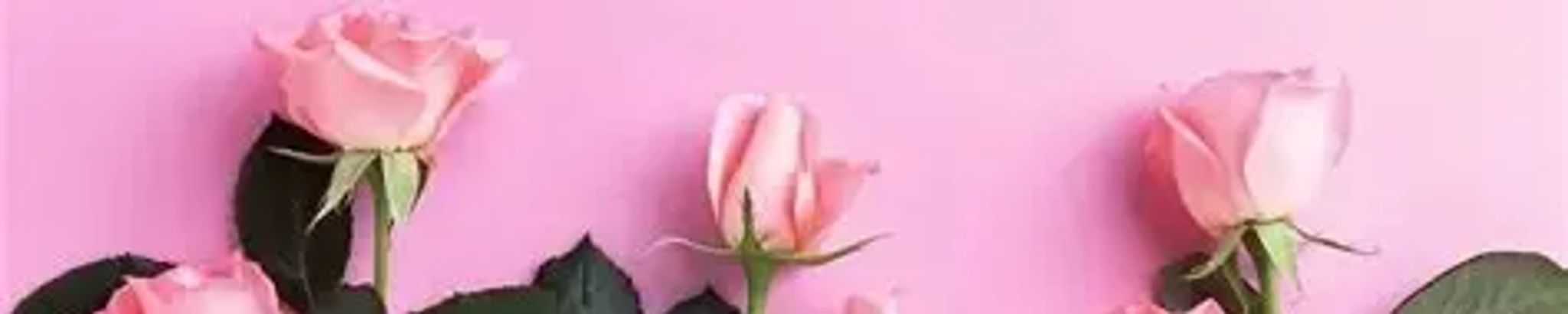 Cover for Josie Anna Cox's Obituary