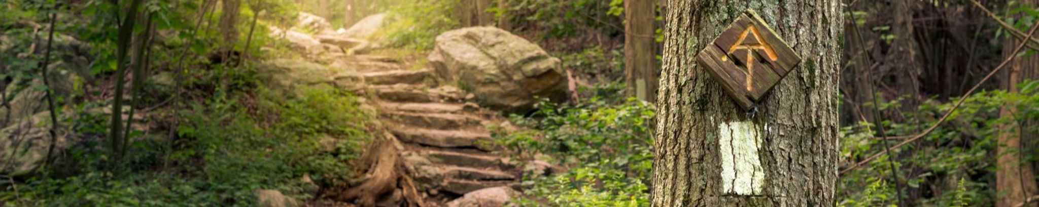 Cover for Dennis Aaron Libby's Obituary