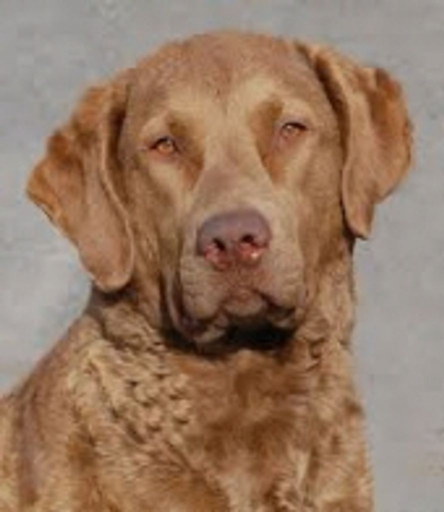 Wenzie Sabin Profile Photo