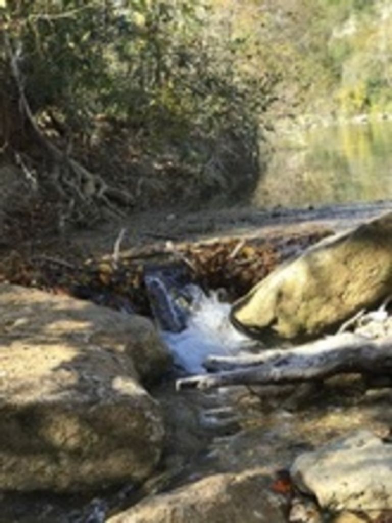 Harrison Edward Raling Profile Photo