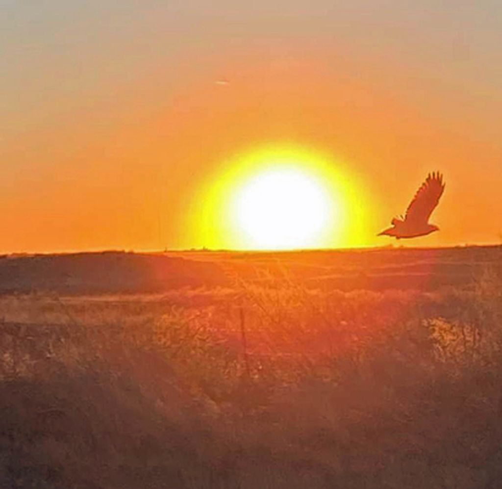 Nolan G. Koehn Profile Photo