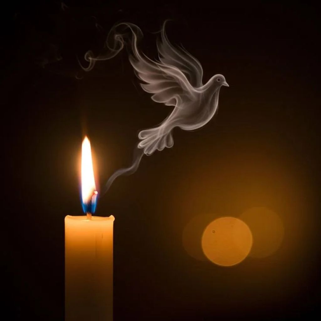 Mary Burden Profile Photo