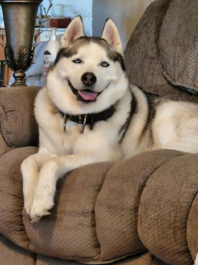 Oakley Denali Sky Profile Photo