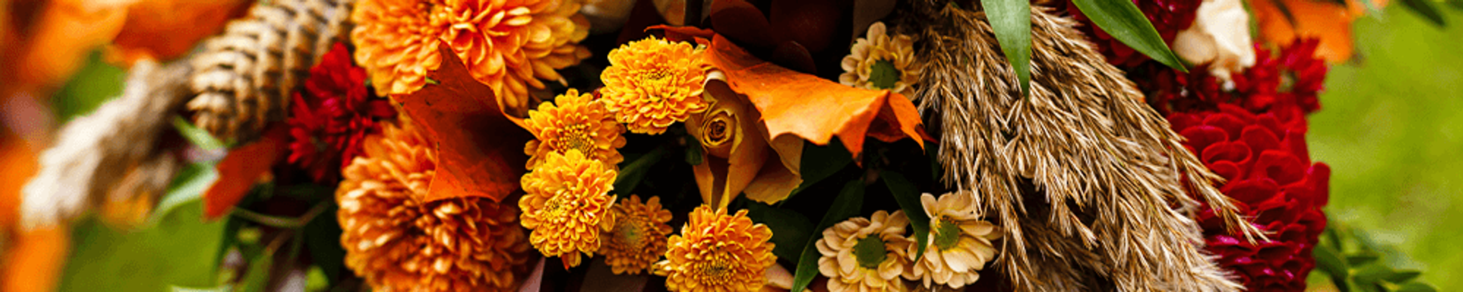 Cover for June Elaine Truax Percy's Obituary